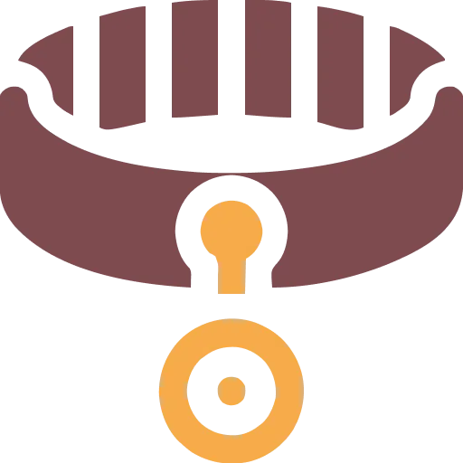 点燃您的运动激情 - 星空体育1